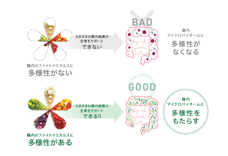 ファイトケミカルスの多様性が重要